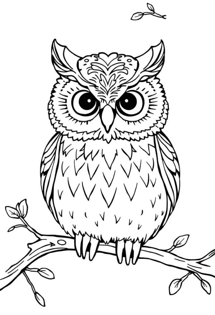 owl coloring pages printable